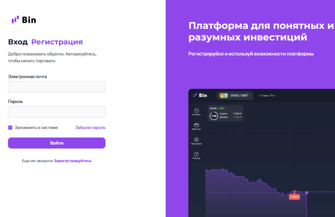 Bin мошеннический проект