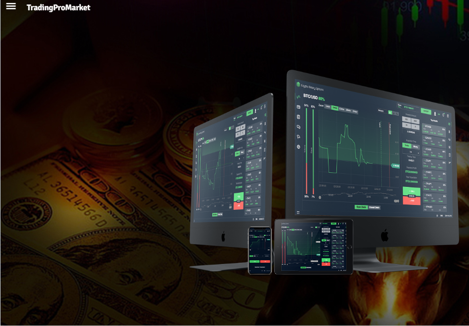 TradingProMarket мошеннический проект