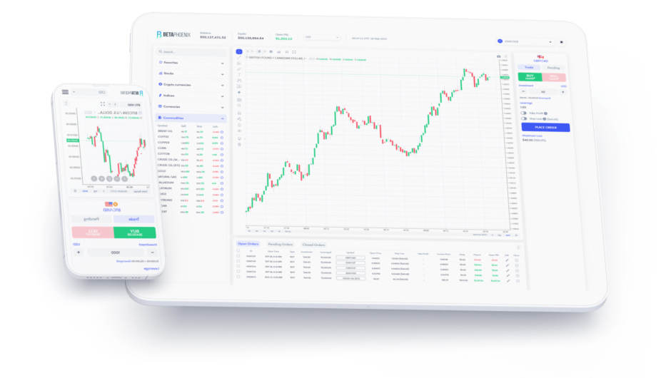 Разоблачение брокера мошенника BetaPhoenix. Отзывы эксперта