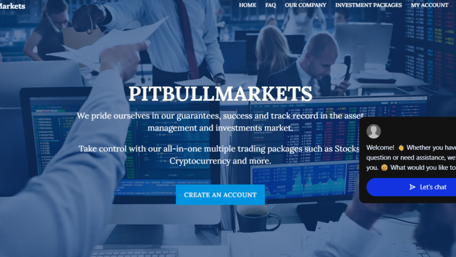 Аналитический обзор платформы PitbullMarkets отзывы