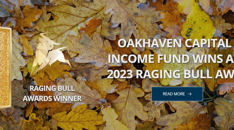 Обзор инвестиционной компании Oak Haven Capital отзывы